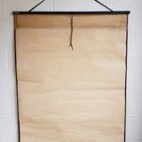 Vintage school poster by Paul Sougy - Selaginella, 1959