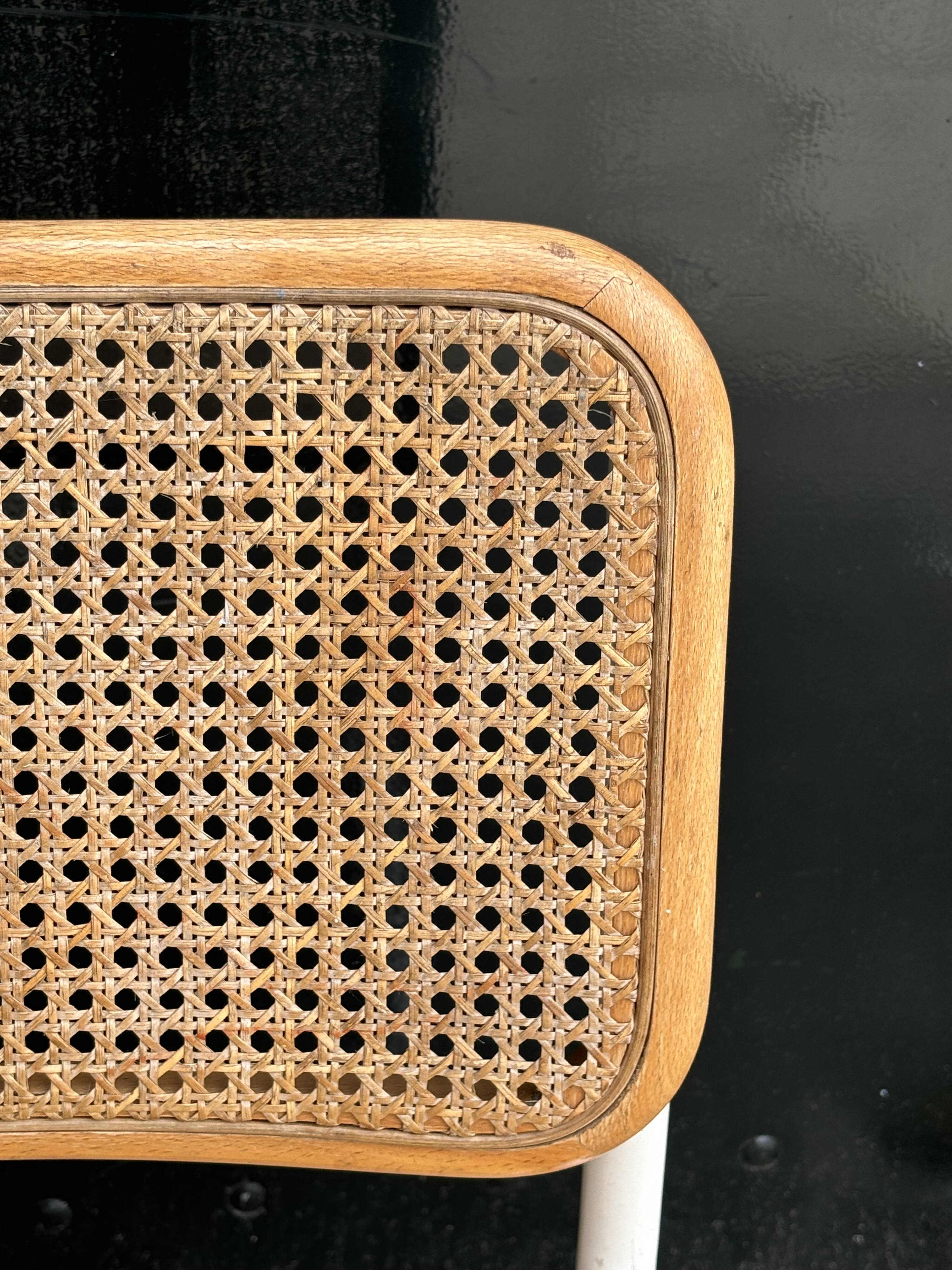 Cesca chair b32 model in white and wood by Marcel Breuer