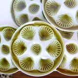Set of 6 plates with 1 vintage oyster tray Moulin des Loups Orchies in porcelain 201055