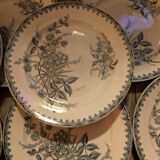 Set of ten vintage Terre de Fer Pervenche pattern plates