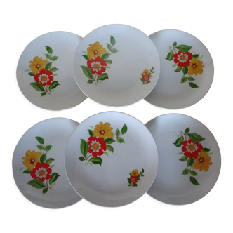 6 assiettes plates manifattura porcellane Royal cp trade mark 361112 fleurs  orange vintage