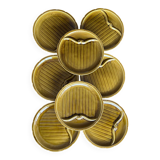 Set of 8 Gien asparagus plates