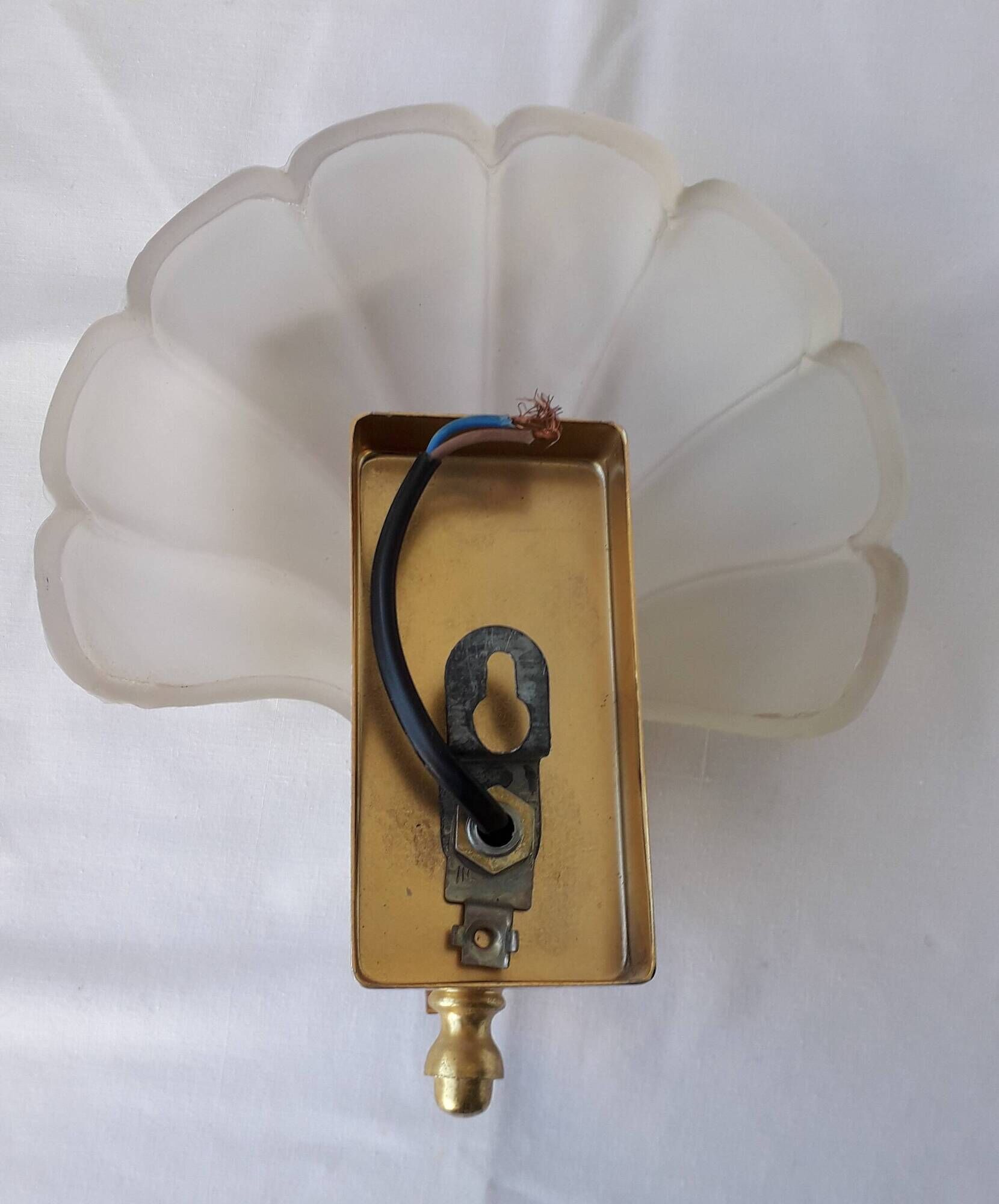 Applique coquillage en verre