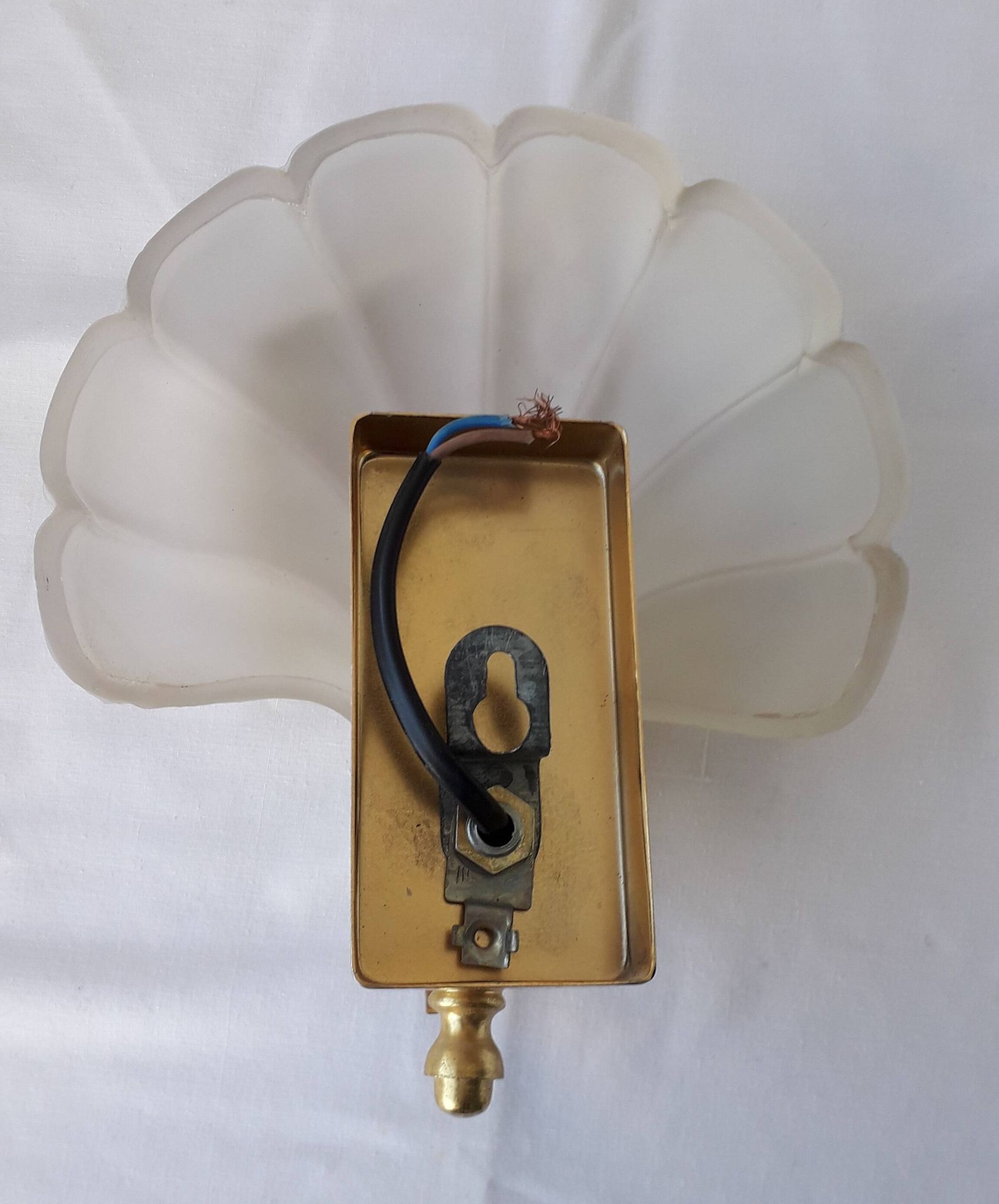 Applique coquillage en verre
