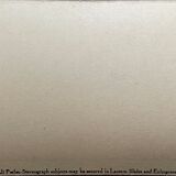 Old photography stereo, stereograph, luxury albumin 1903 Chinese farmer