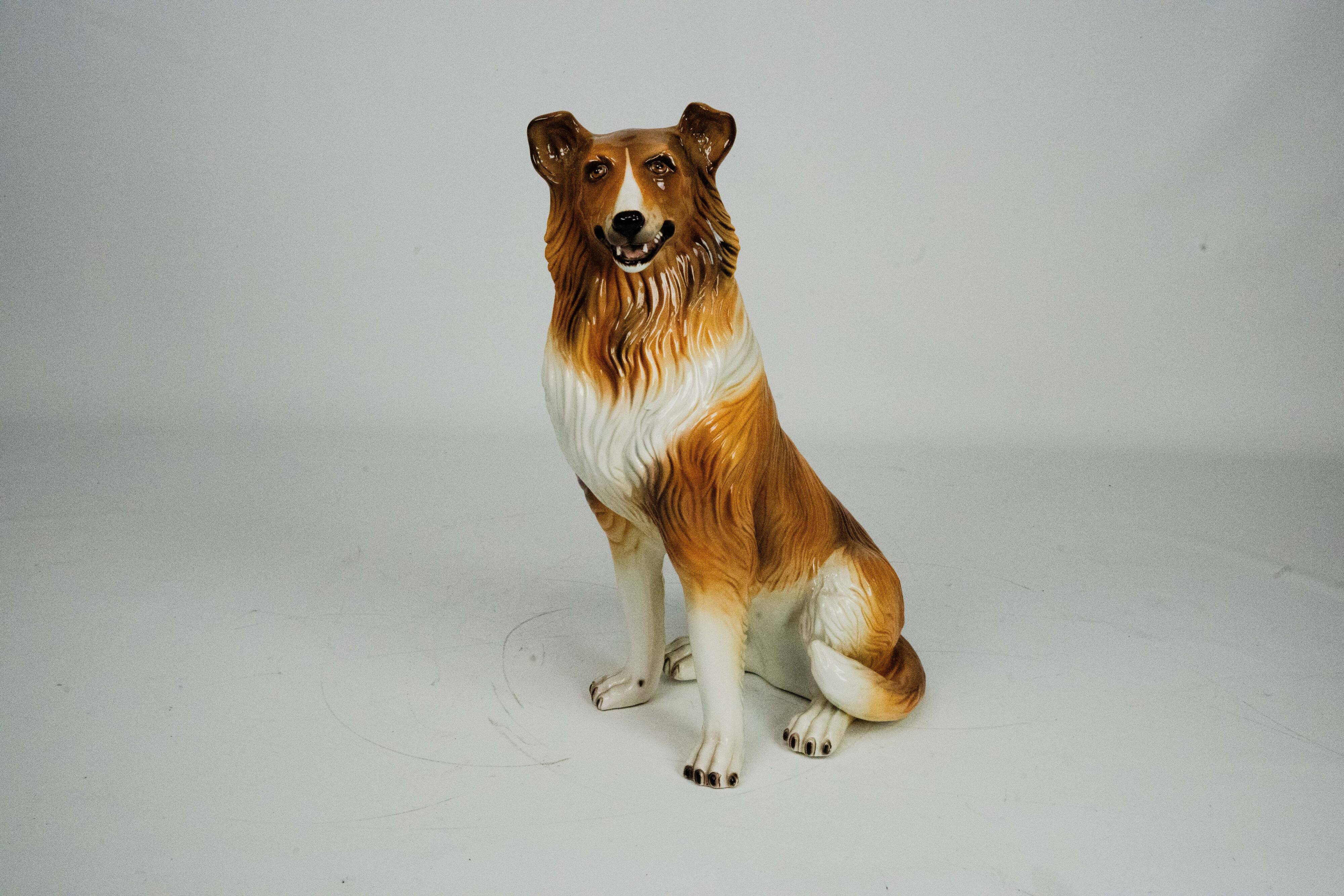 Large Italian Ceramic Sitting Collie Dog Sculpture, 1970s
