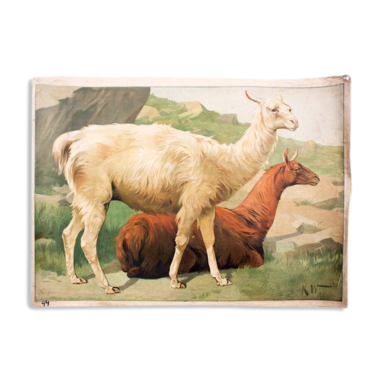 Lama, grille éducatif, 1891
