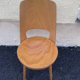 Baumann chairs "mondor"
