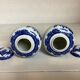 Paire de vases fleurs bleues