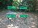 Paire de chaises de jardin pliantes