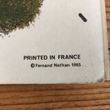 Nathan 1965 School Poster