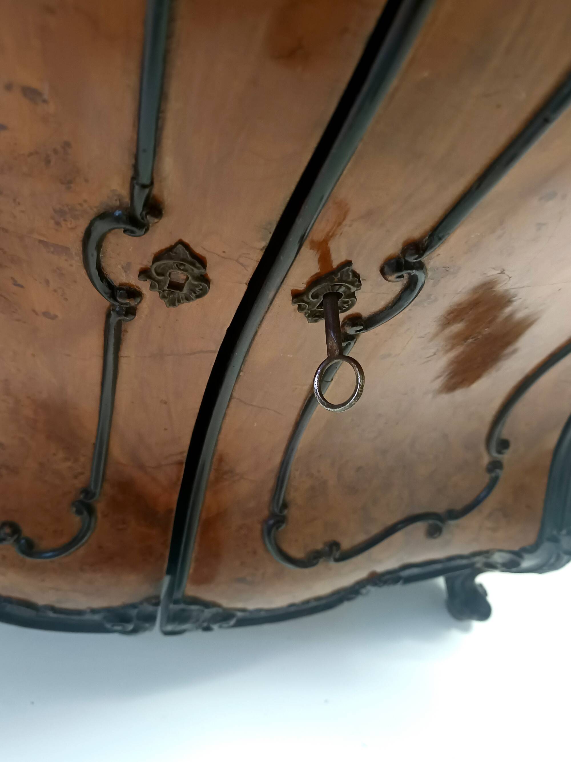 Ebonized Beech and Walnut-Root Cabinet with a Glass Top, Brianza, Italy