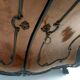 Ebonized Beech and Walnut-Root Cabinet with a Glass Top, Brianza, Italy