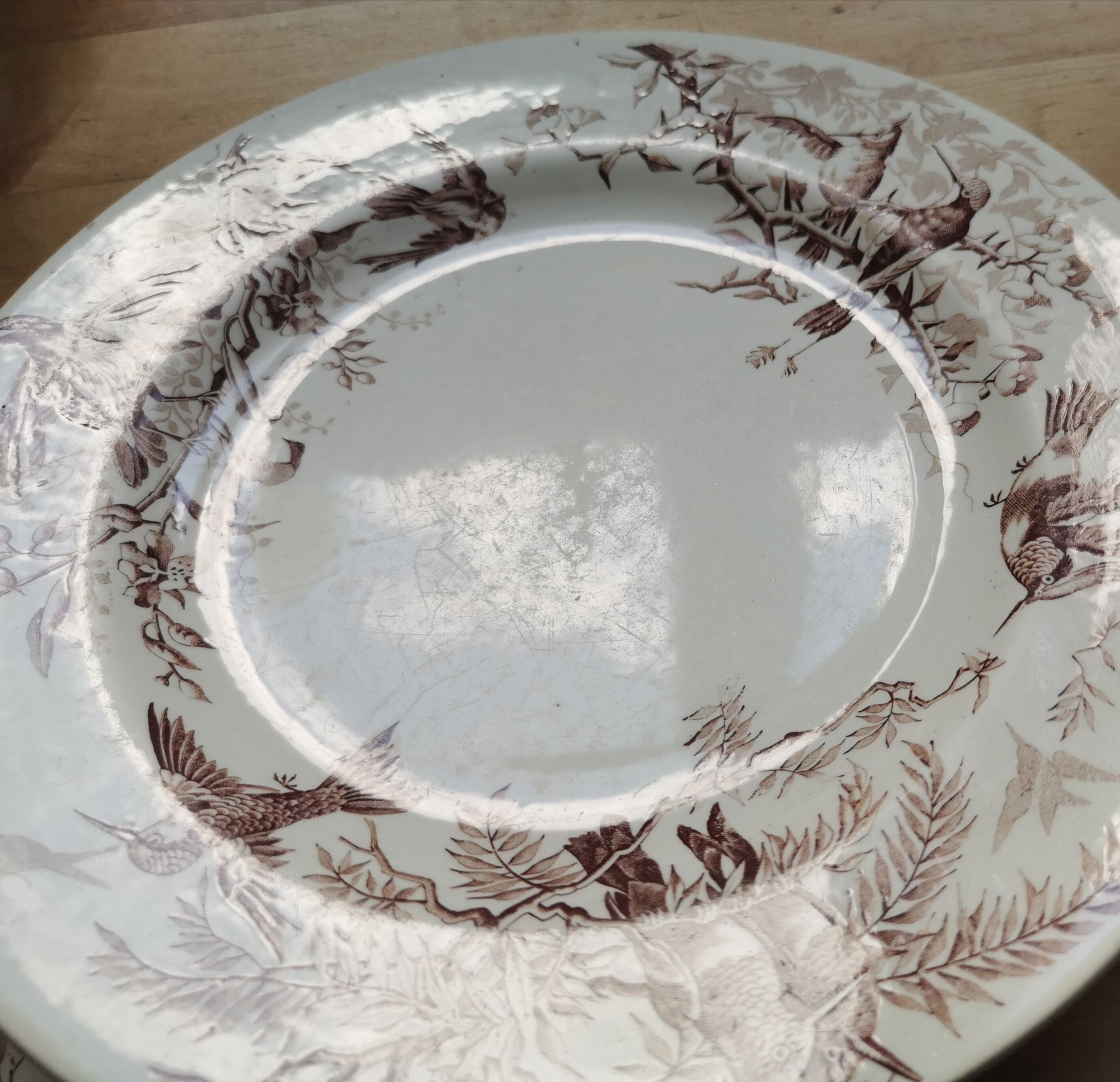 Lot of 8 Colibri luneville plates
