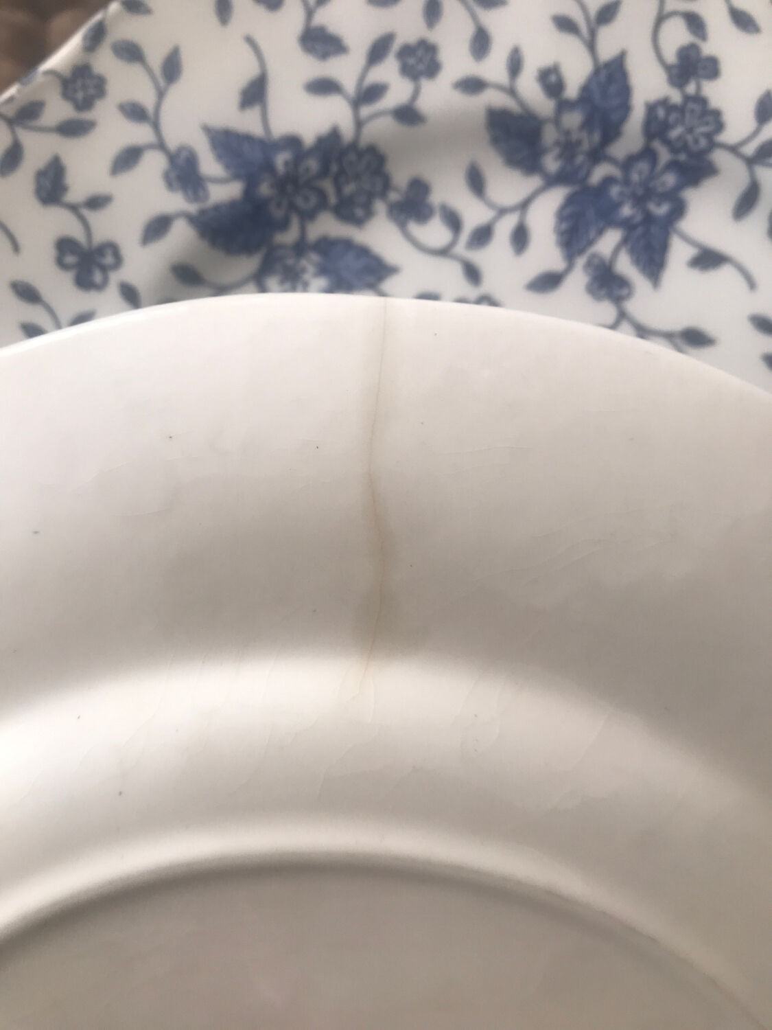 Blue Flower Plates Tudor Royal Grindley