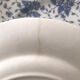 Blue Flower Plates Tudor Royal Grindley