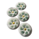 5 oyster plates from Salins earthenware