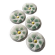 5 oyster plates from Salins earthenware