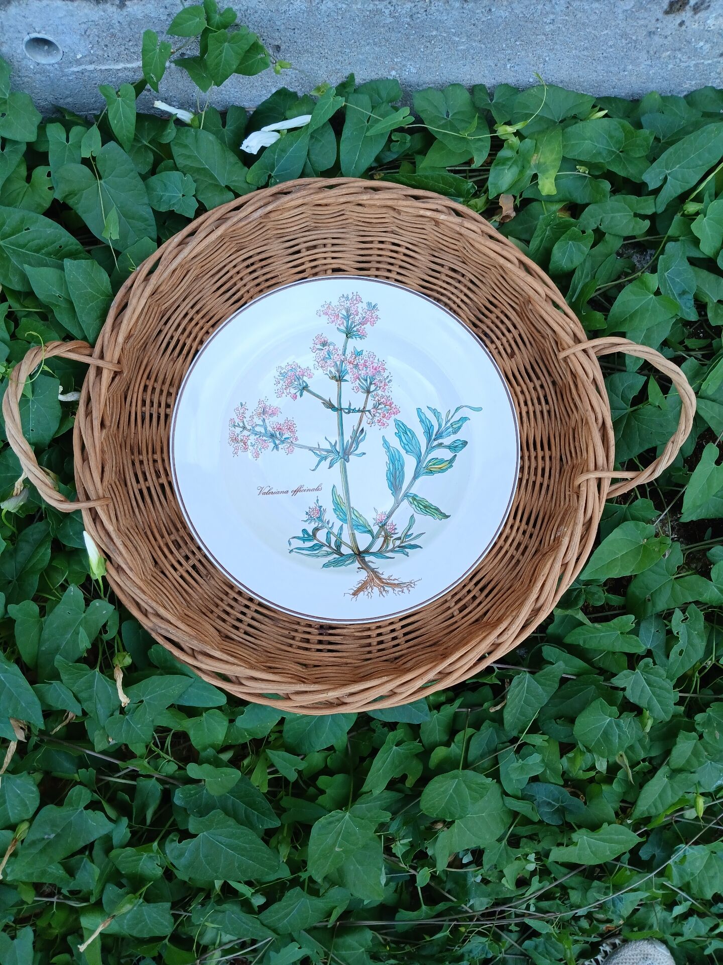 Assiette creuse Villeroy et Boch
