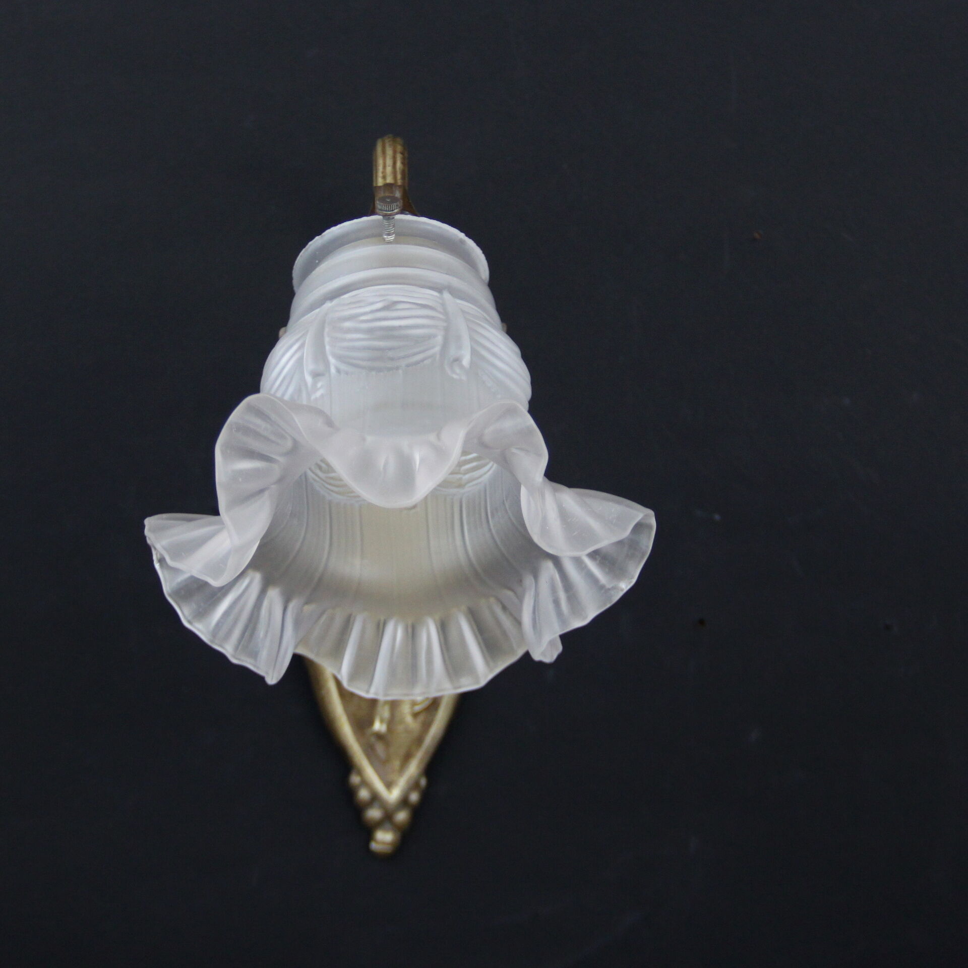 Wall light brass, old tulip glass swan neck