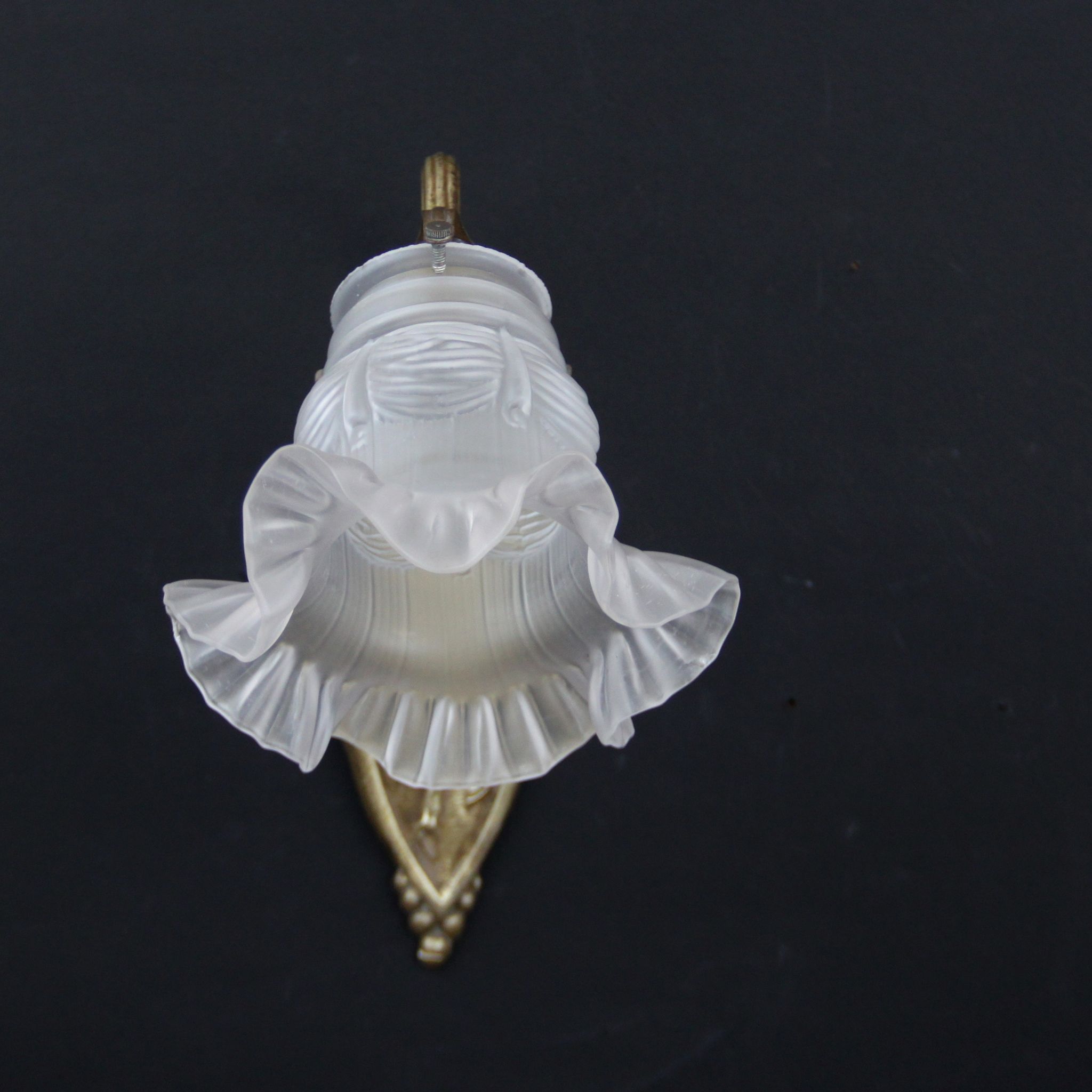 Wall light brass, old tulip glass swan neck