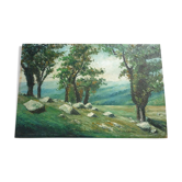 Tableau peinture sur panneau paysage signé g cocagne