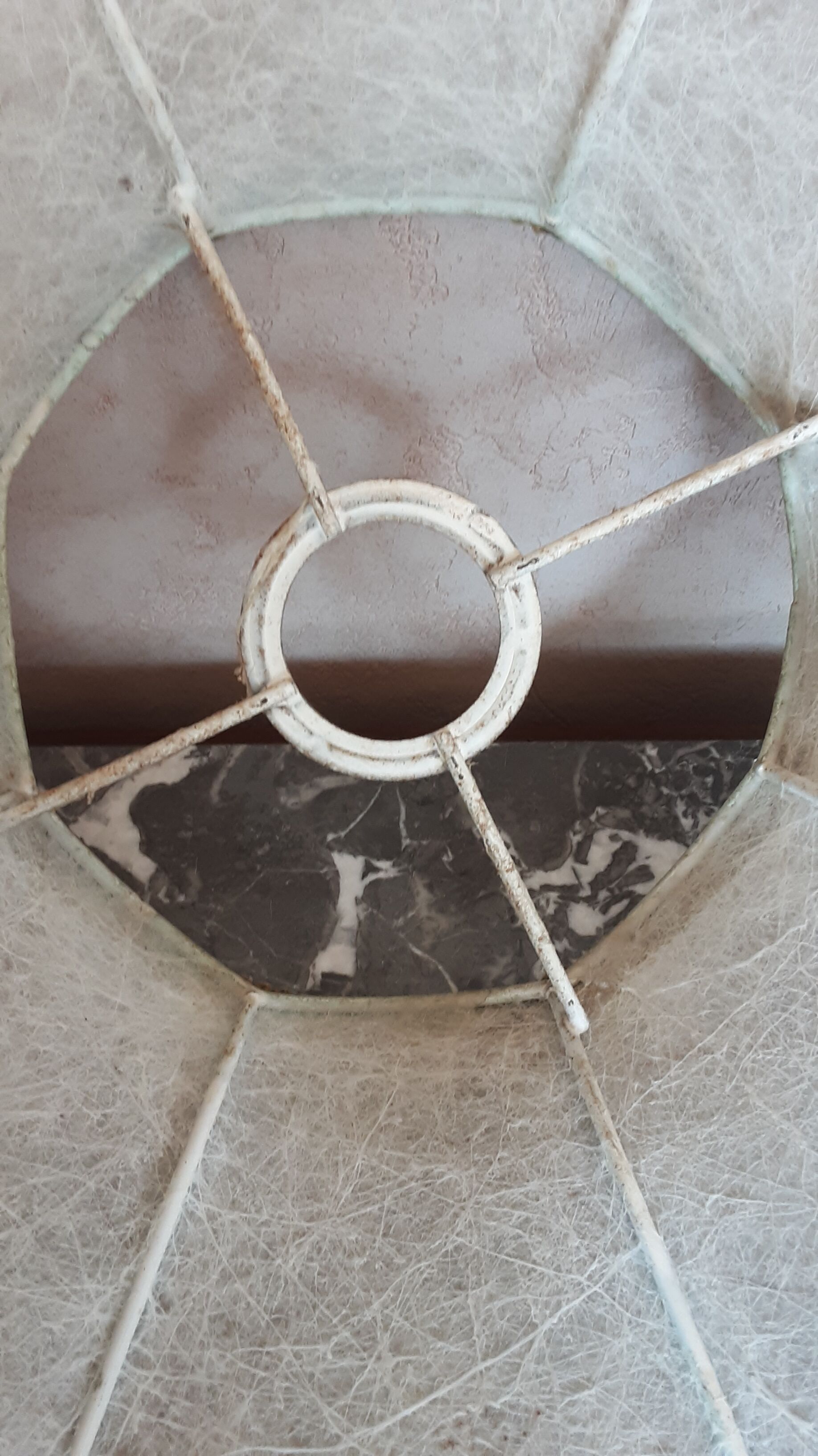 Old lampshade in pork bladder - trimess