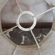 Old lampshade in pork bladder - trimess