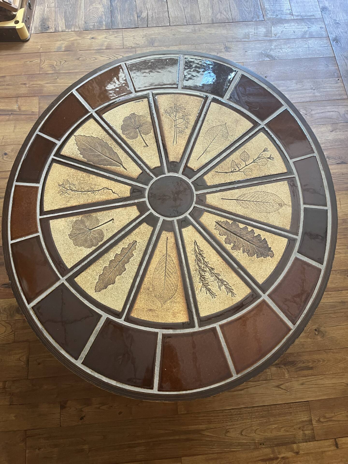 Herbarium coffee table Roger Capron