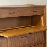 Classic shoe cabinet from the 1960s, walnut veneer, four drop-down doors, two drawers