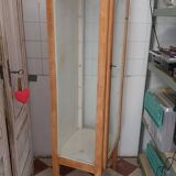 1950s medical display case