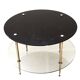 Double glass top coffee table