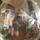 Antique engraved glasses