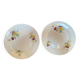 Set of 2 polychrome Sarreguemines dessert plates