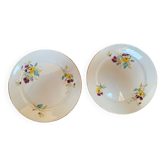 Lot de 2 assiettes à dessert polychromes Sarreguemines