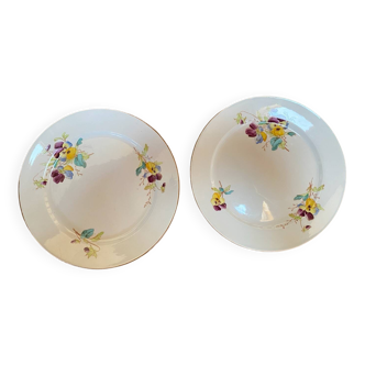 Set of 2 polychrome Sarreguemines dessert plates