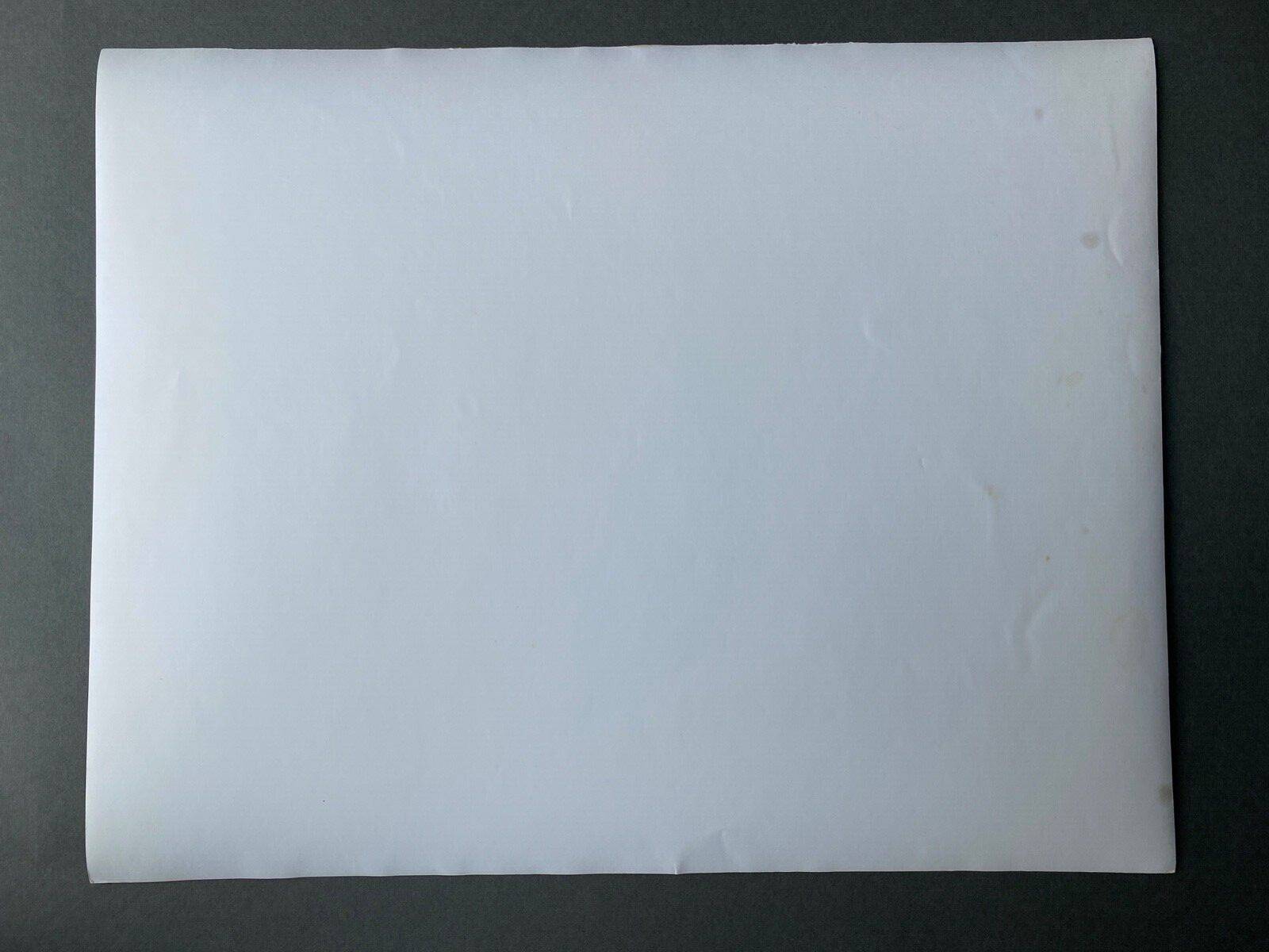 Vintage photograph of a forest by the lake by Bernard Darot, 20th century