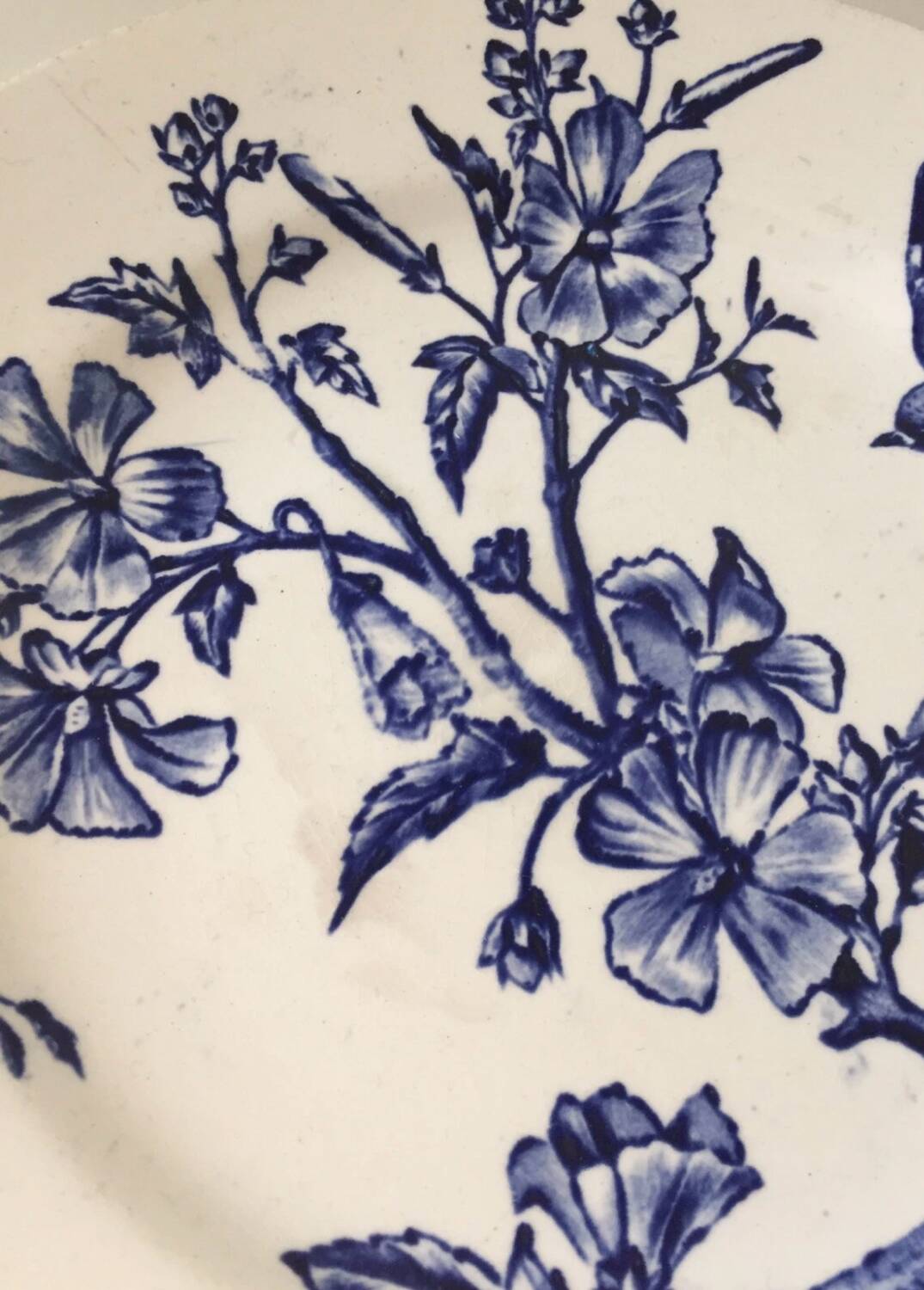 Antique Longchamp Terre de Fer Compote Bowl, 19th Century