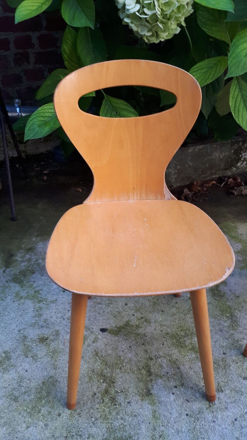 Pair of Ant chairs by Baumann