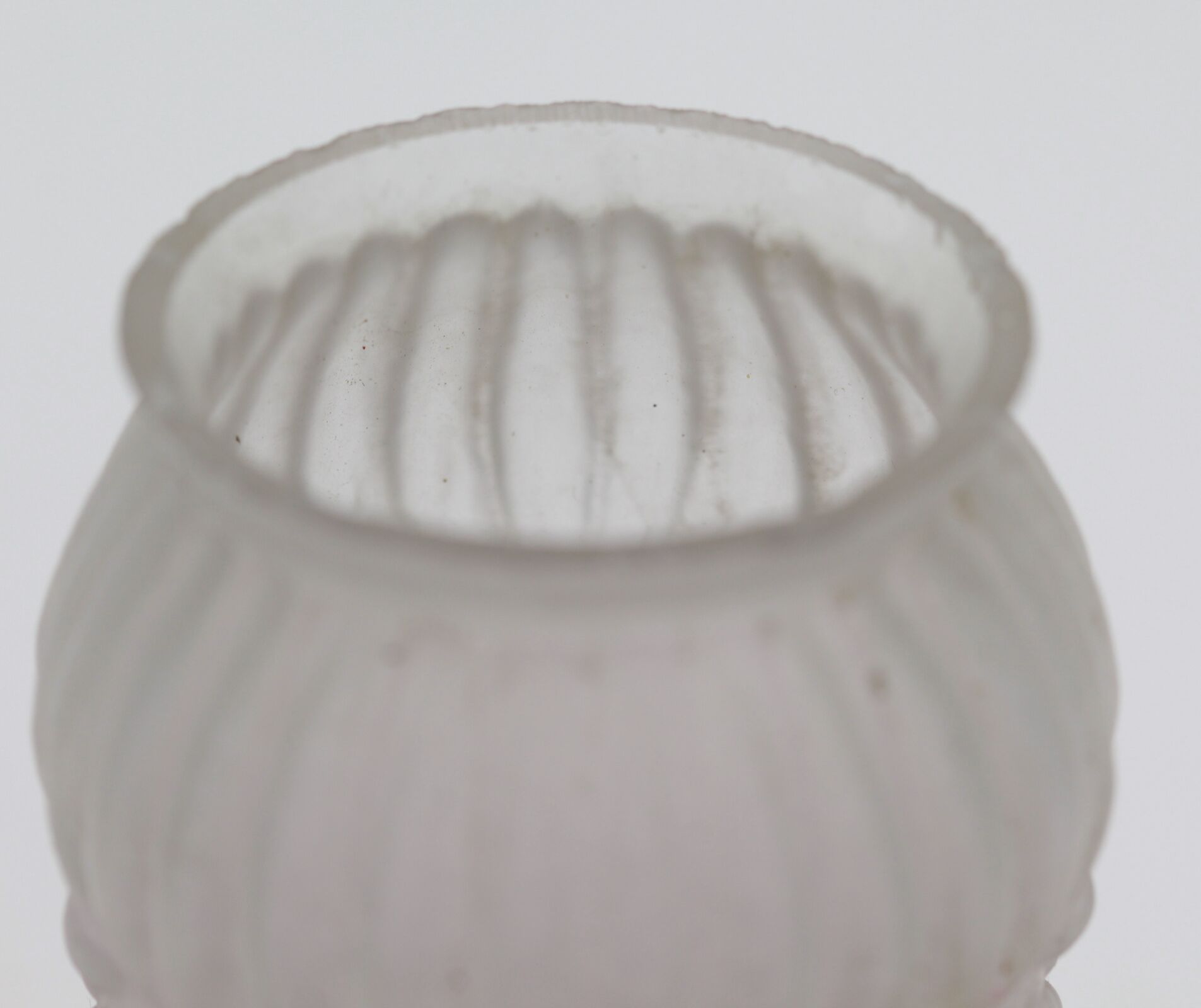 Purple tulip glass globe