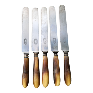 Série de 5 couteaux acier manche