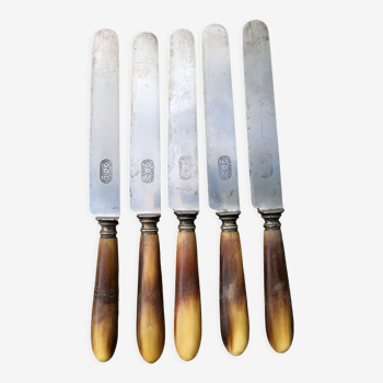 Series of 5 knives steel horn handle