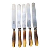 Series of 5 knives steel horn handle