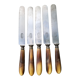 Series of 5 knives steel horn handle