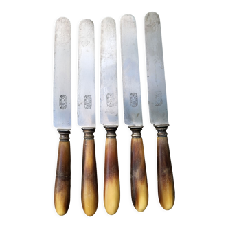 Series of 5 knives steel horn handle