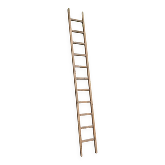 Renovated miller's ladder