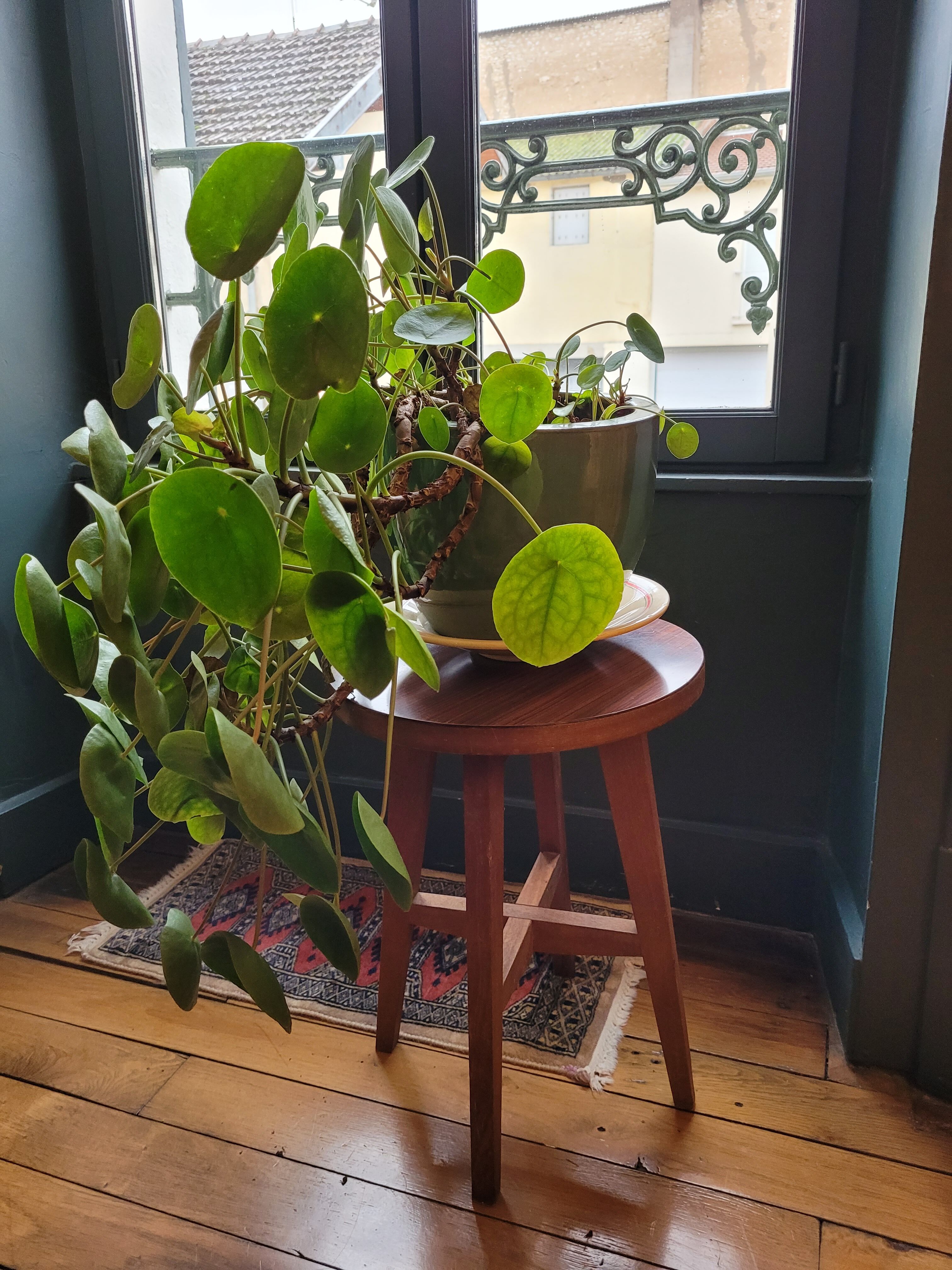 Wooden stool and formica 60's