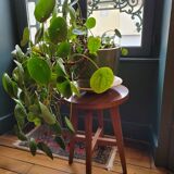 Wooden stool and formica 60's