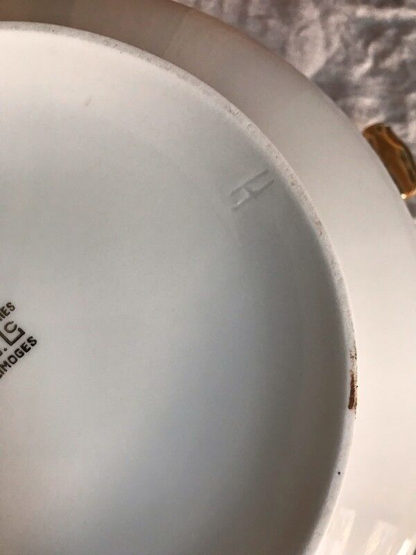 Porcelain soup of limoges