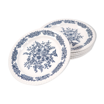 6 blue flower plates